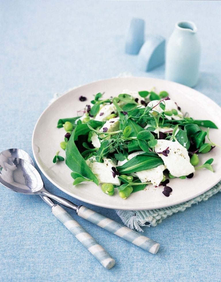 Fresh Mozzarella in Brine - Image 2